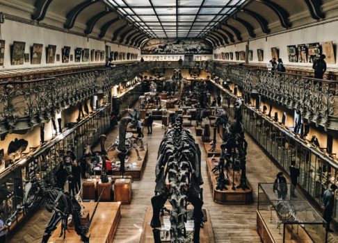 De beste attraksjonene for barn som elsker dinosaurer